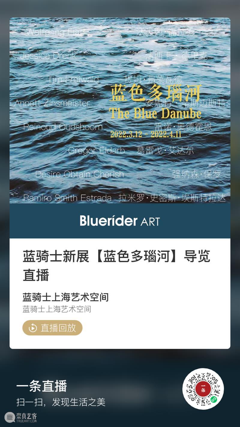 BlueriderDaily 蓝色多瑙河回来了 博文精选 Bluerider ART 崇真艺客